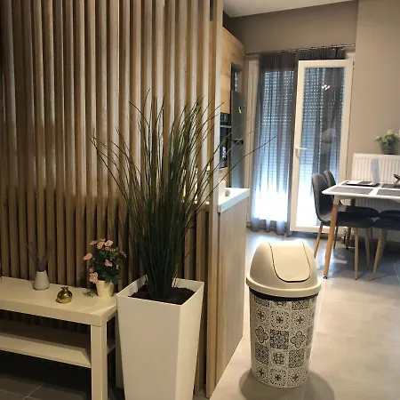 Kaima Luxury & Cosy Loft 塞萨洛尼基