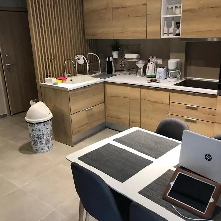 公寓 Kaima Luxury & Cosy Loft 塞萨洛尼基